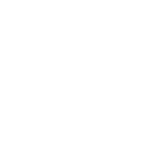 shopping bag (1)